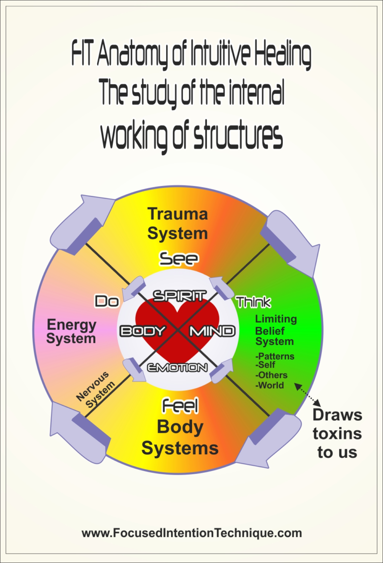 FIT Anatomy of Intuitive Energy Healing FIT Training Portal